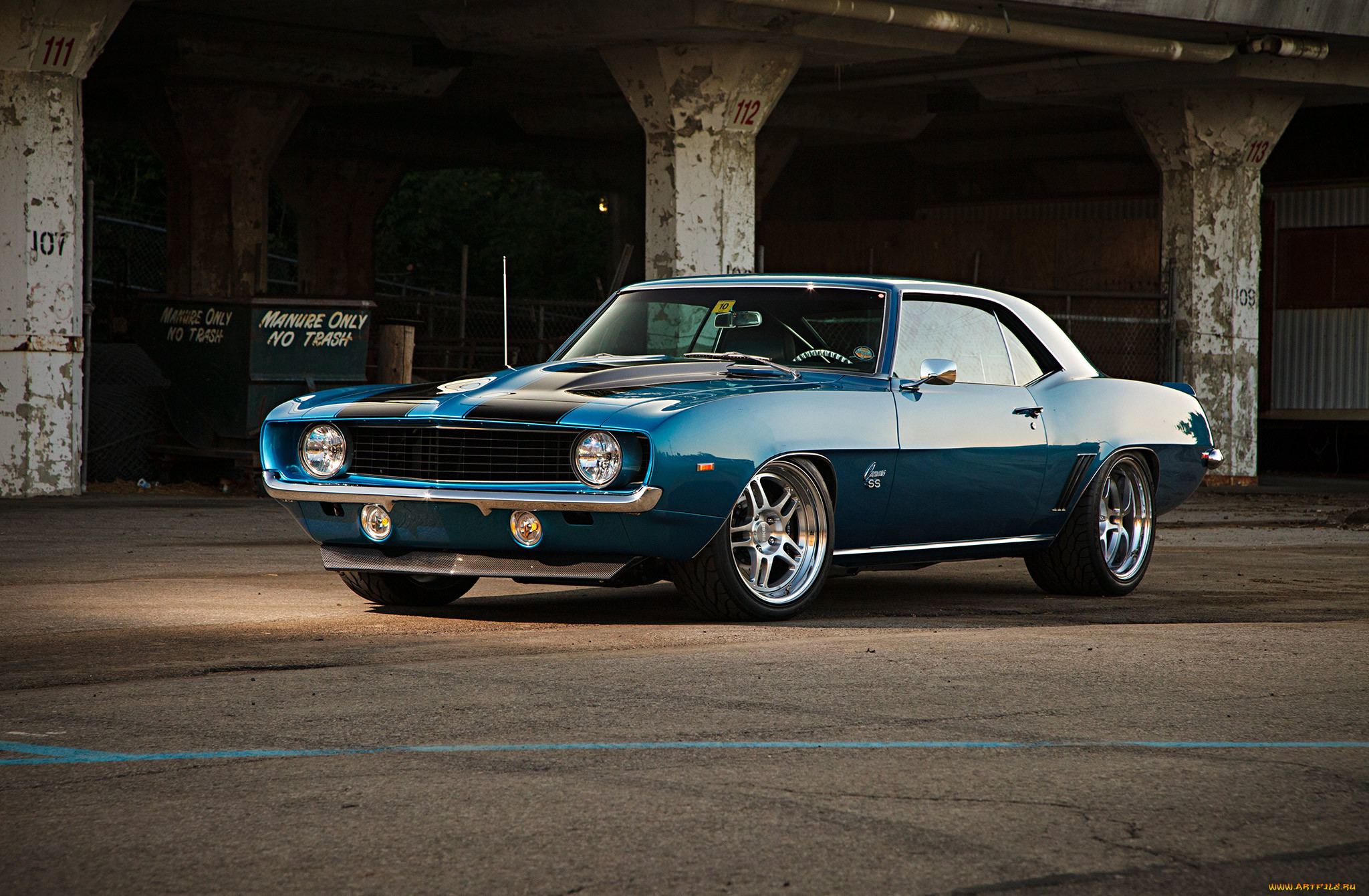 , camaro, 1969 chevrolet camaro ss